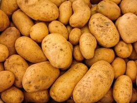 De beste manier om aardappelen te bewaren