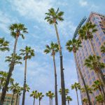 Vakantie in en rond San Jose: de hoofdstad van Silicon Valley