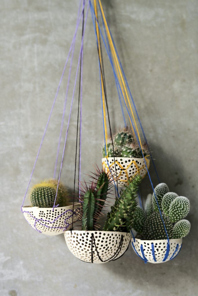 cactus stylen