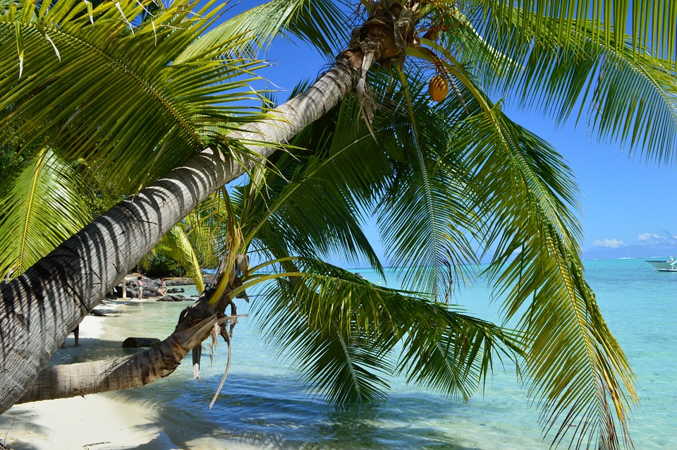 bora bora