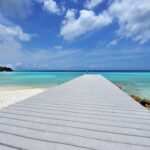 7 x doen in Curaçao