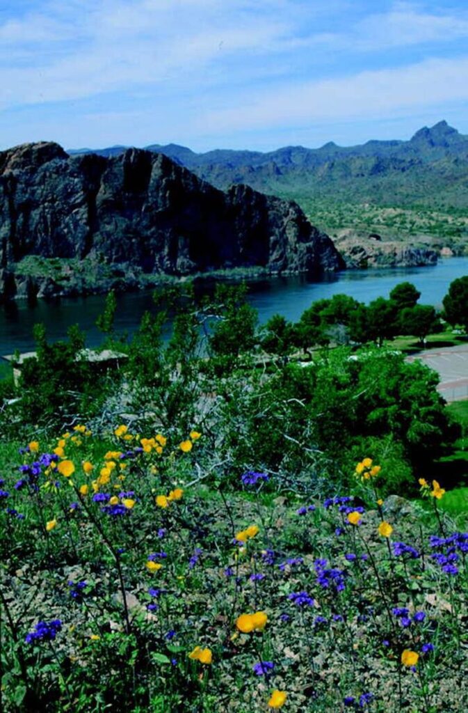 Buckskin Mountain State Park 