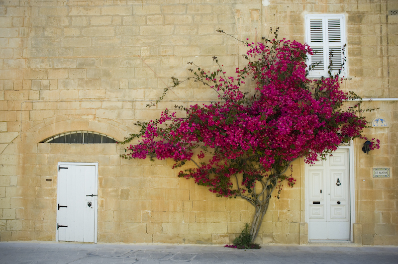 Mdina