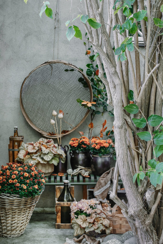 Planten herfst
