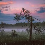 Finland - onvergetelijke ervaringen in adembenemende natuur