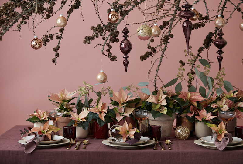 tafeldecoratie kerststerren