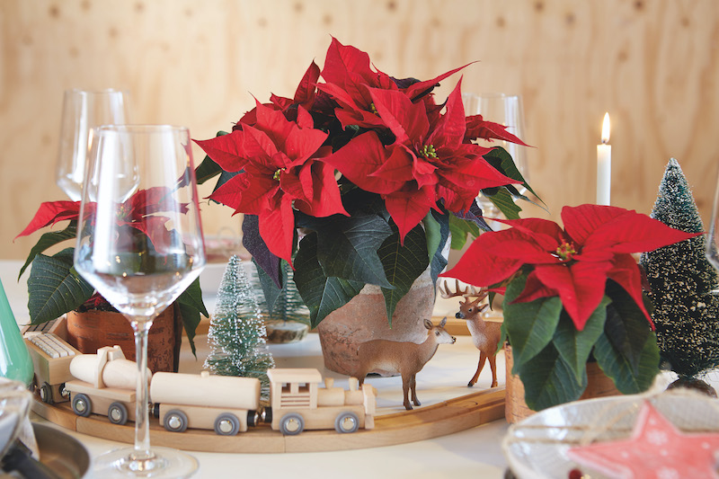 mooie tafel kerst