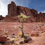De adembenemende natuurlijke wonderen van Las Vegas