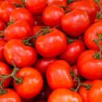 Wat je moet weten over tomaten