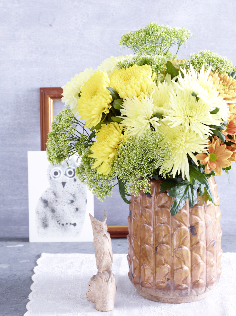 Gekleurde chrysanten