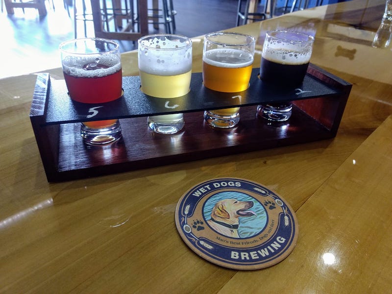 Wet Dogs Brewing Florida