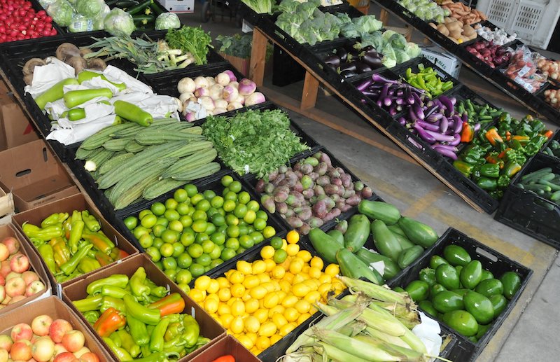 farmersmarket florida