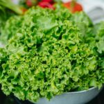 Het hoofd koel houden: zomers fris met salades