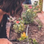 Zo zorg je voor je tuin tijdens droogte en hittegolven