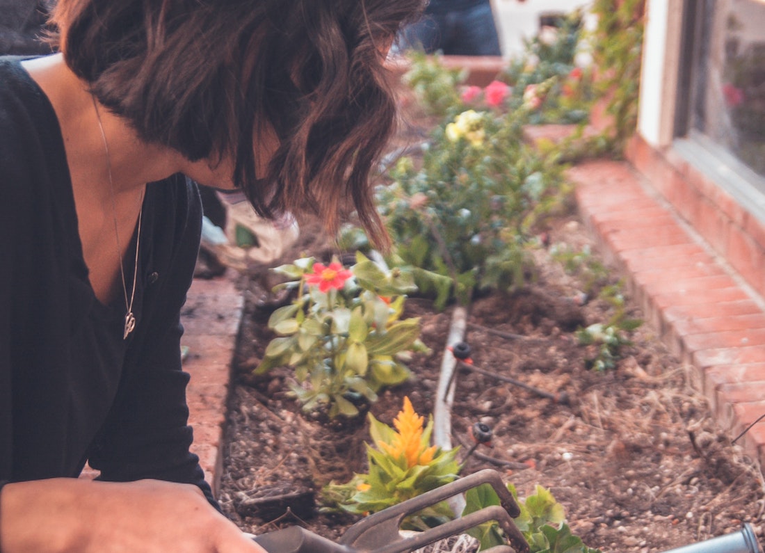 Zo zorg je voor je tuin tijdens droogte en hittegolven