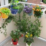 Zo plant je groenten en fruit in hangende manden