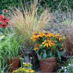 Herfstinspiratie in een pot