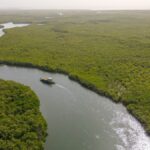 Zes activiteiten die je niet mag missen in Gambia