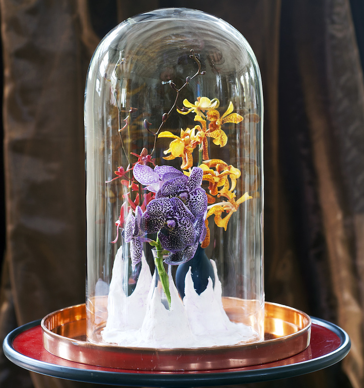 orchideeën onder glas