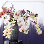 Positieve energie in huis met orchideeën