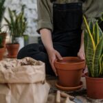 Klimaatbescherming bij het planten: tips voor tuinieren met turfvrije grond