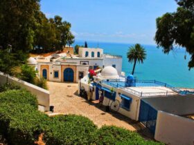 8 highlights van Tunis