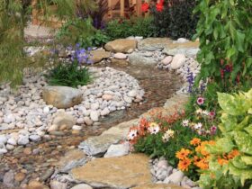 Tips voor het plaatsen van kiezelstenen in de tuin