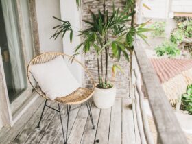 Zo haal je meer uit je kleine tuin of balkon