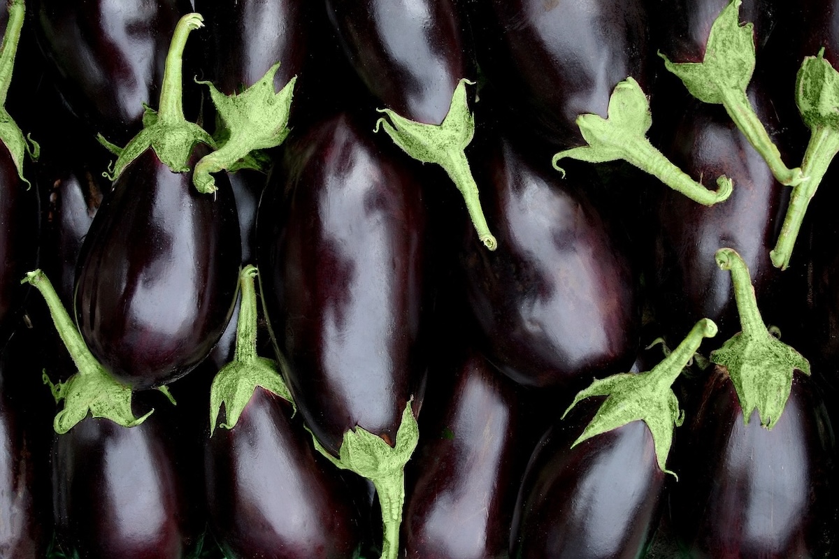 Aubergine: gebakken, gegrild en uit de oven