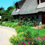 Water besparen in de tuin midden in de zomer