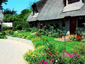 Water besparen in de tuin midden in de zomer