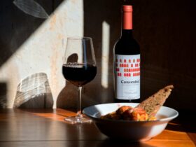 Alentejo: een gastronomisch en wijnparadijs