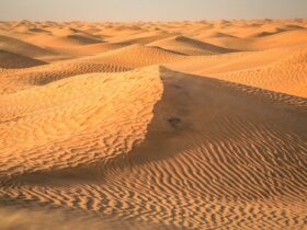 Sahara avonturen in Tunesië: De highlights