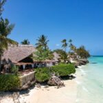 Ervaar Zanzibar - Een exotische reis naar het paradijs