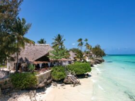 Ervaar Zanzibar - Een exotische reis naar het paradijs