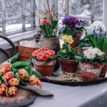 Buiten donker - binnen lente! Laat je inspireren door planten voor je vensterbank
