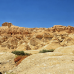 4 ervaringen voor je bucketlist in Saoedi-Arabië