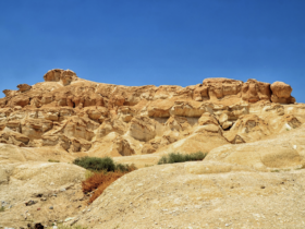 4 ervaringen voor je bucketlist in Saoedi-Arabië