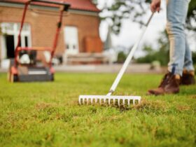 Gazon onderhoud in de herfst: Hoe je je groene tapijt gezond houdt tijdens de winter