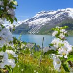 Lente in Noorwegen: Ontdek de beste activiteiten