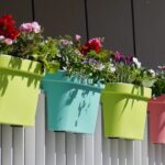 Een paradijs voor bijen en vlinders: tips voor een insectvriendelijk balkon